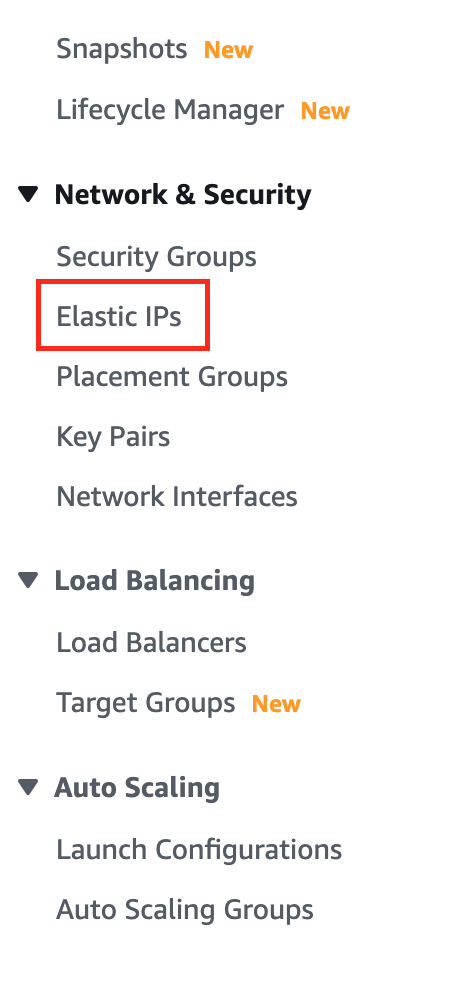 Elastic IPs